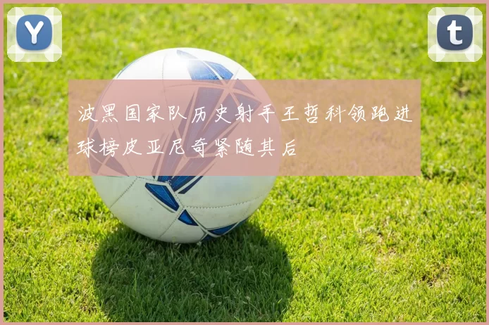 波黑国家队历史射手王哲科领跑进球榜皮亚尼奇紧随其后