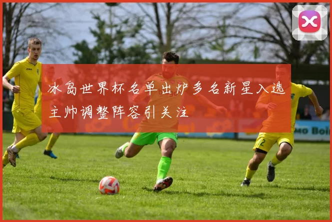 冰岛世界杯名单出炉多名新星入选主帅调整阵容引关注