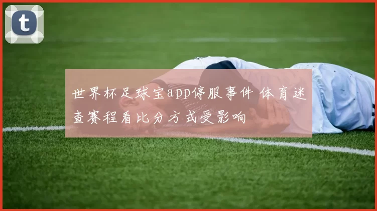 世界杯足球宝app停服事件 体育迷查赛程看比分方式受影响