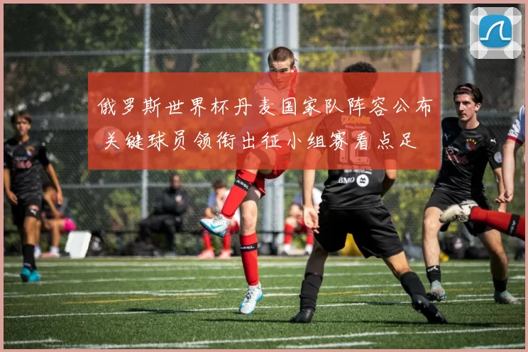 俄罗斯世界杯丹麦国家队阵容公布 关键球员领衔出征小组赛看点足