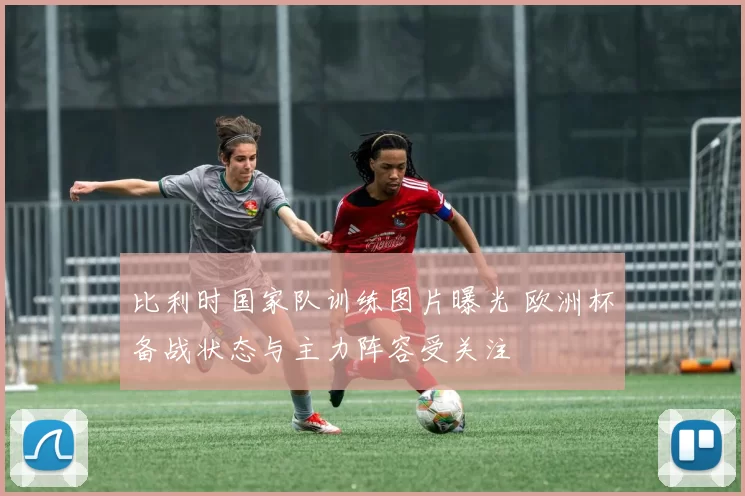 比利时国家队训练图片曝光 欧洲杯备战状态与主力阵容受关注