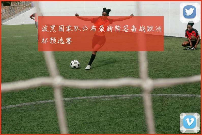 波黑国家队公布最新阵容备战欧洲杯预选赛