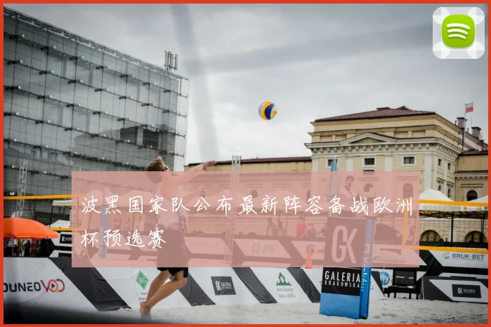 波黑国家队公布最新阵容备战欧洲杯预选赛