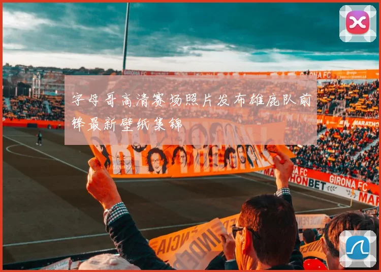 字母哥高清赛场照片发布雄鹿队前锋最新壁纸集锦
