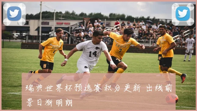 瑞典世界杯预选赛积分更新 出线前景日渐明朗