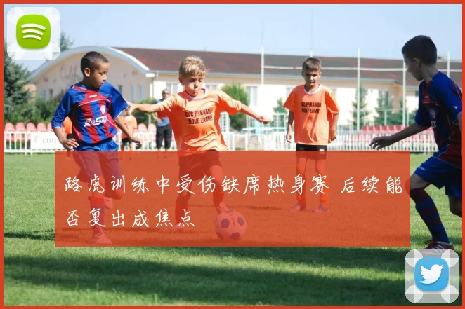 路虎训练中受伤缺席热身赛 后续能否复出成焦点